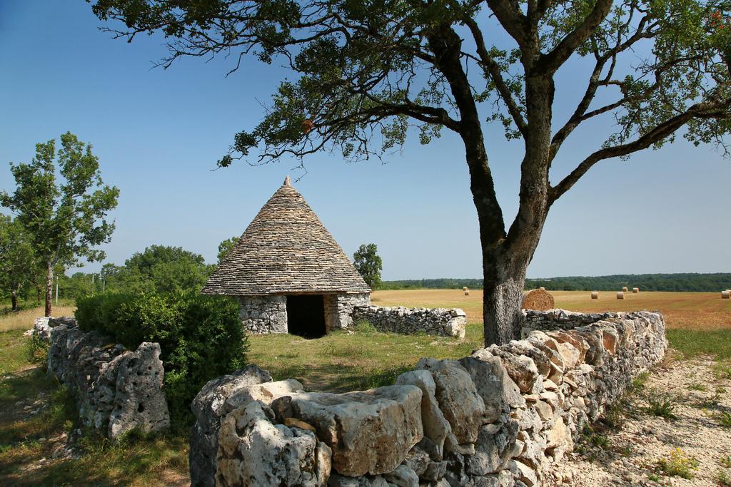 La Vayssade - Maison D'Hotes - Jacuzzi, Piscine & Truffes Lalbenque Exterior foto
